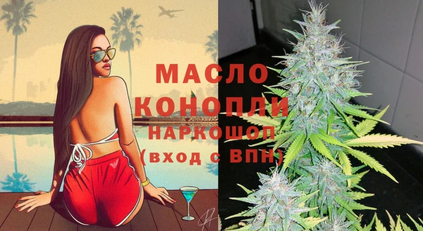 гашик Дмитровск