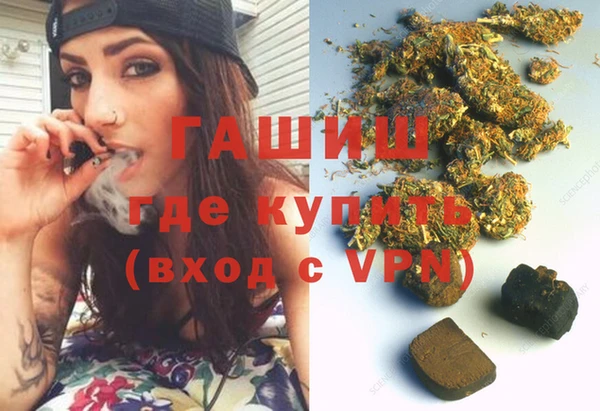 spice Дмитриев