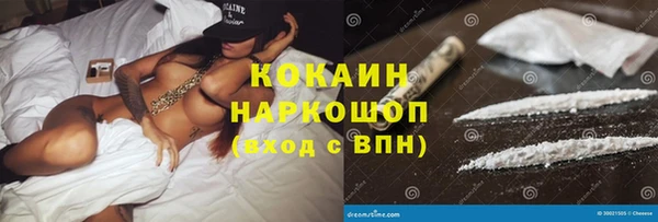 гашик Дмитровск