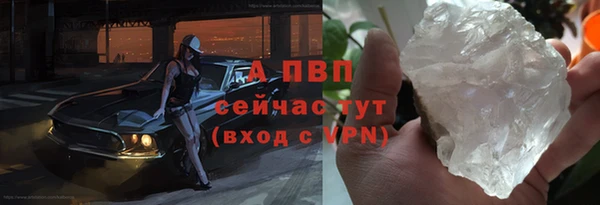 гашик Дмитровск