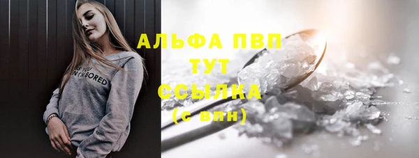 spice Дмитриев