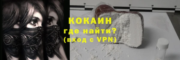 гашик Дмитровск