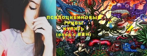 spice Дмитриев