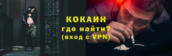 spice Дмитриев