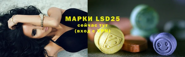 гашик Дмитровск