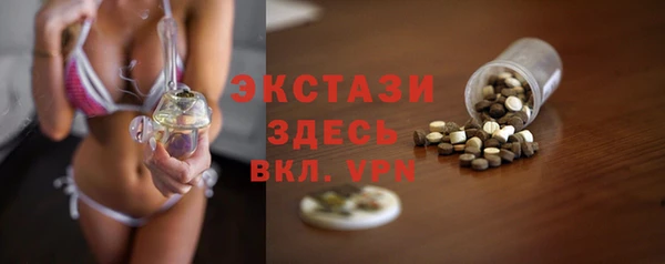 стаф Ельня