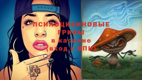 гашик Дмитровск
