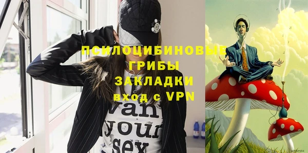 a pvp Дмитров