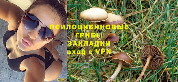 a pvp Дмитров