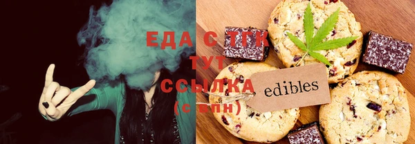 spice Дмитриев