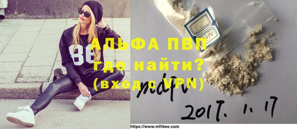 гашик Дмитровск