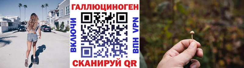 Галлюциногенные грибы мицелий  цены   Рудня 