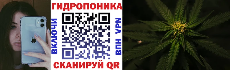 дарк нет какой сайт  Рудня  МАРИХУАНА конопля 